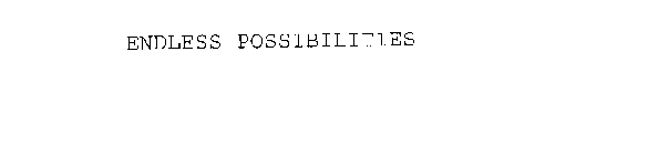 ENDLESS POSSIBILITIES