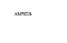 AMPHUS