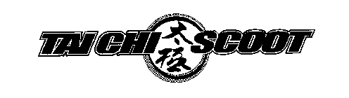 TAI CHI SCOOT