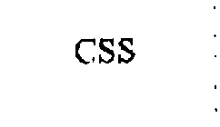 CSS