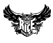 RICE OWLS