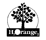 H2ORANGE2