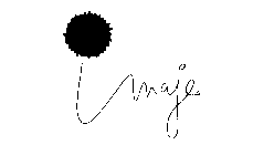 IMAJE