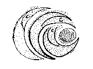 Image Trademark