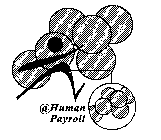 @HUMAN PAYROLL