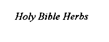HOLY BIBLE HERBS