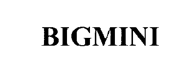 BIGMINI