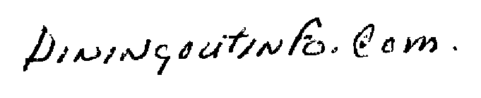 DININGOUTINFO.COM