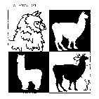 ALPACA.COM