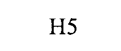 H5