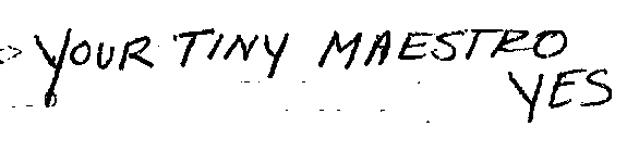 YOUR TINY MAESTRO