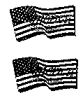 AMERICA THE GAME