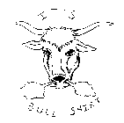 IT'S BULL SHIRT