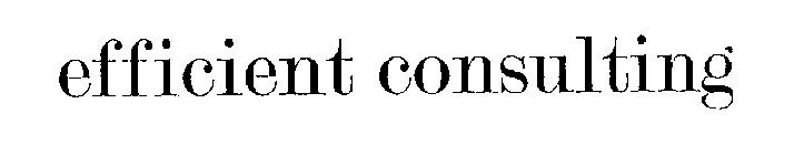 EFFICIENT CONSULTING