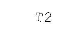 T2