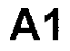 A1