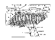 JETMAP TENNESSEE NORTH CAROLINA ALABAMA, MISSISSIPPI GEORGIA SOUTH CAROLINA FLORIDA COLUMBIA FAYETTEVILLE TUPELO DECATUR HUNTSVILLE BIRMINGHAM TUSCALOOSA ATLANTA COLUMBIA WILMINGTON MYRTLE BEACH PANAM