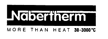 NABERTHERM MORE THAN HEAT 30-3000 C