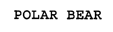 POLAR BEAR