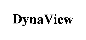 DYNA VIEW