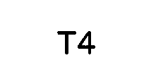 T4