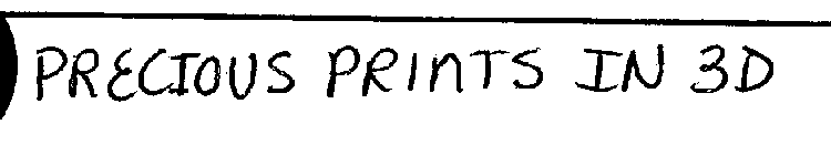 PRECIOUS PRINTS IN 3D