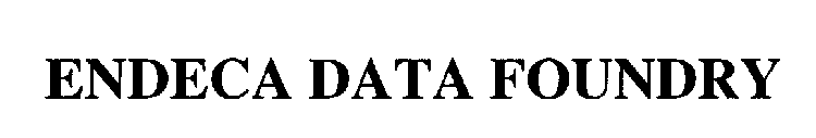 ENDECA DATA FOUNDRY