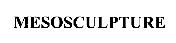 MESOSCULPTURE