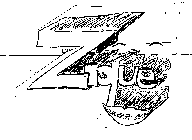 ZIQUE