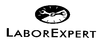LABOREXPERT