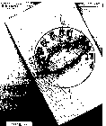 Image Trademark