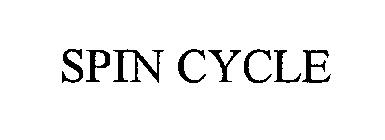 SPIN CYCLE