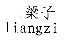 LIANGZI