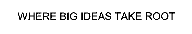 WHERE BIG IDEAS TAKE ROOT