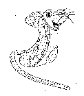 Image Trademark