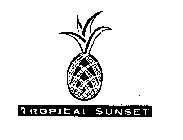 TROPICAL SUNSET
