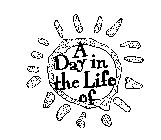 A DAY IN THE LIFE OF