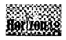 HORIZONAG