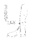 ORIGINAL BOOT LEG
