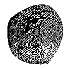 CUDA