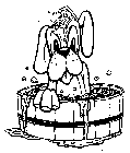 Image Trademark