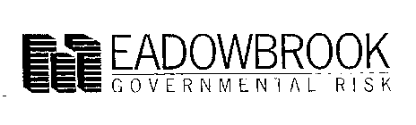 MEADOWBROOK GOVERNMENTAL RISK