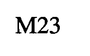 M23