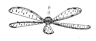 Image Trademark
