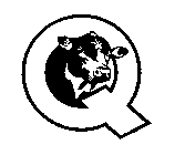 Q