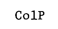 COIP