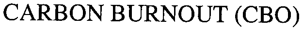 CARBON BURNOUT (CBO)