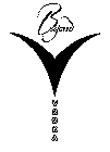 BEYOND VODKA