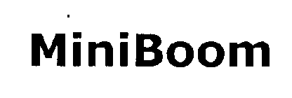 MINIBOOM