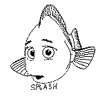 SPLASH